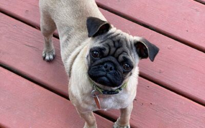 Oliver Lowe aka Ollie