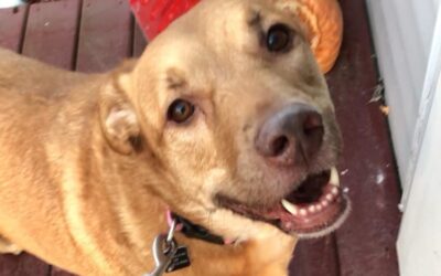 Shelby Martin Finnigan