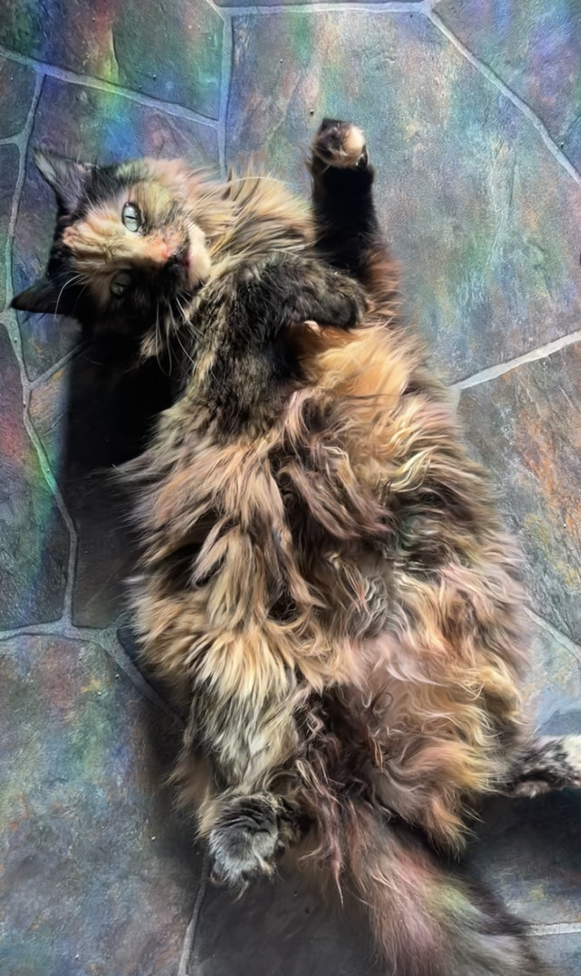 Millie