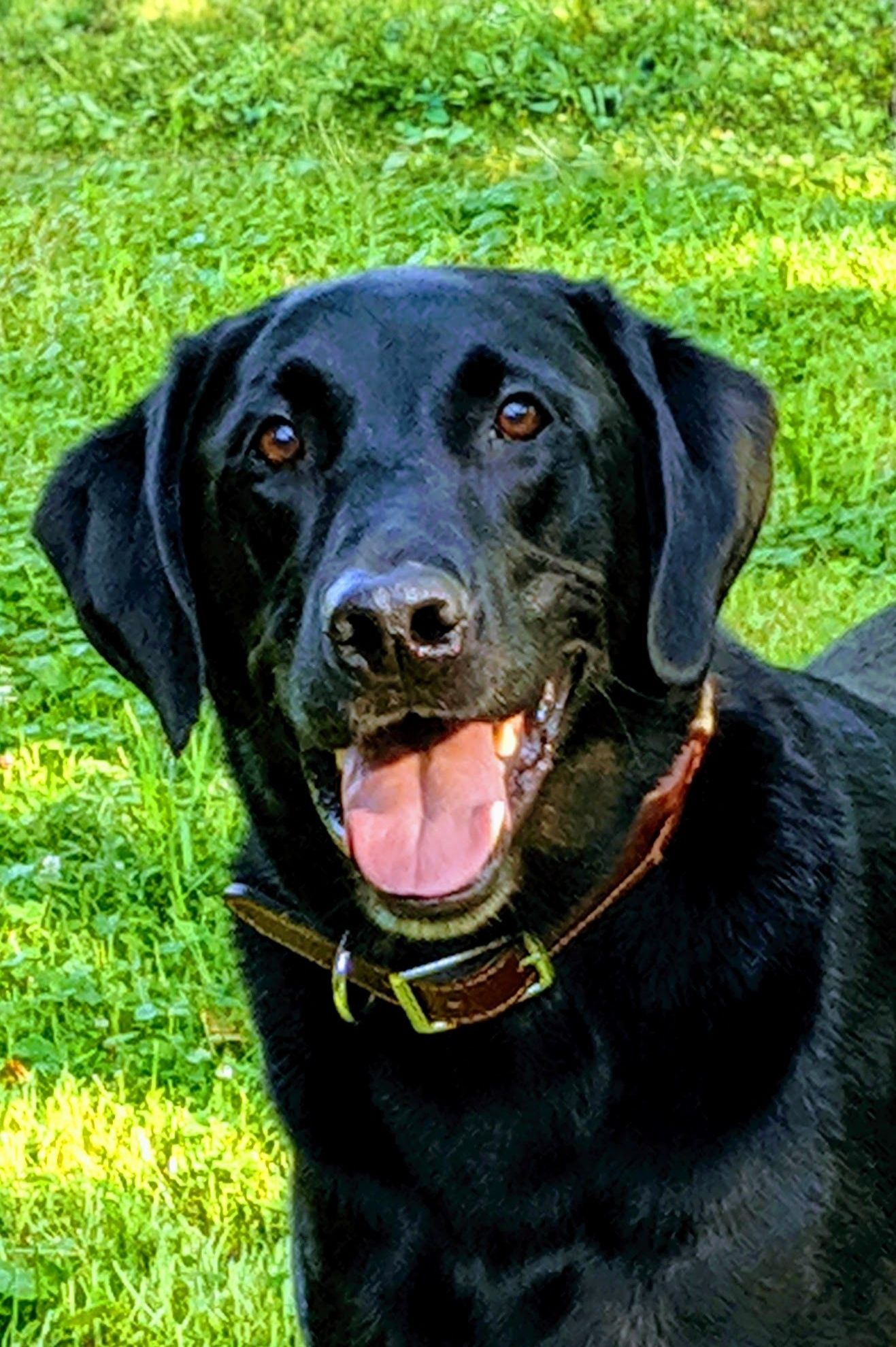 Millie