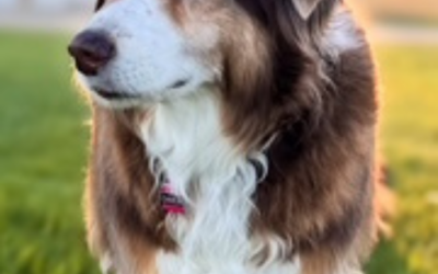 Darla
